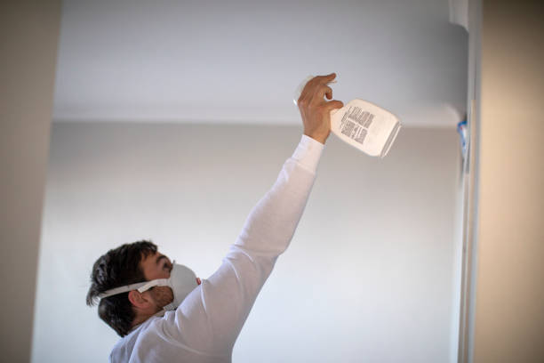 Best Fast Mold Removal  in West Salem, WI