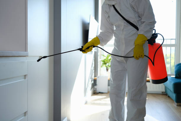 Best Professional Mold Removal  in West Salem, WI