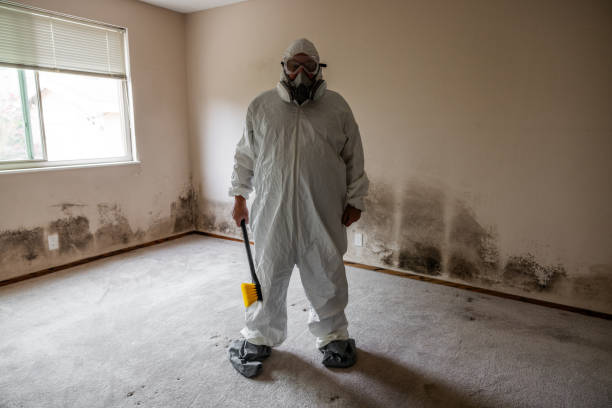Best Crawl Space Mold Removal  in West Salem, WI